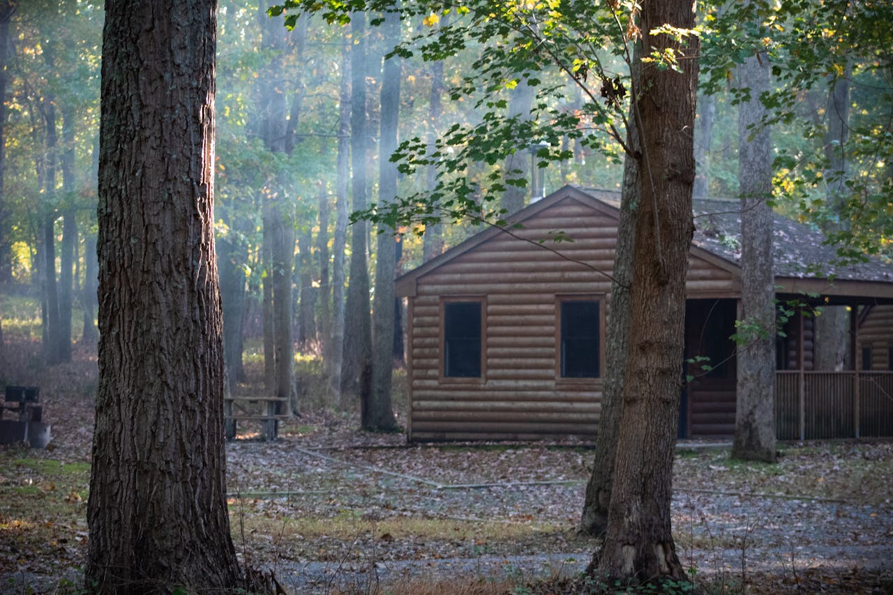 Cabin with well-placed windows for natural light