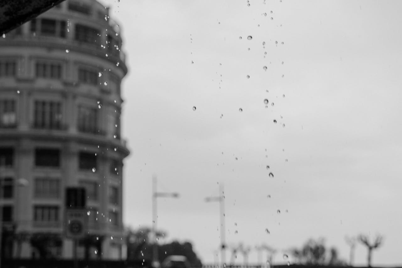 Rain gutter collecting water from a roof