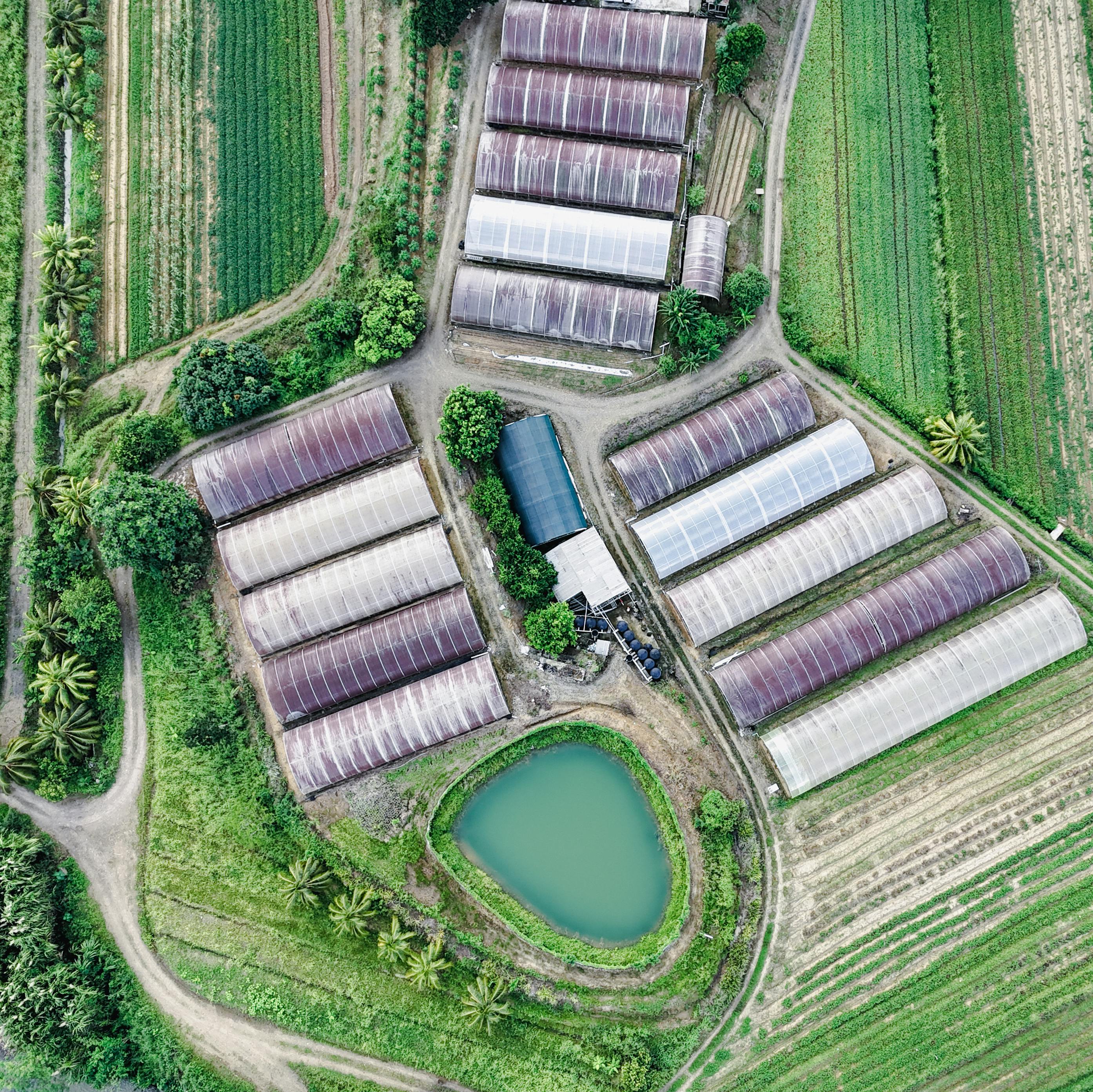 Overhead view of an aquaponics farm with grow beds and fish tanks